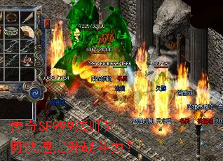 ����SF999��ʦ��ο�������ս������