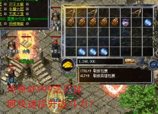 ����SF999��ʦ��ο�������ս������