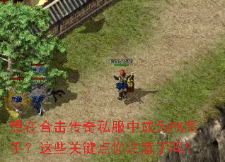 ���ںϻ�����˽���г�ΪPK���֣���Щ�ؼ�����ע������