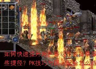 ��ο���������ɫ�ȼ���װ����ȡ����Щ�ݾ���PK�������Ŷ������ô����