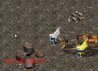 ��ο��ٳư�������