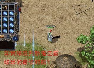 ��ξ�׼�ж�ħ������������ʱ����