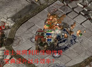 ��ʿ������ù��ﴫ����������ս��Ч�ʣ�