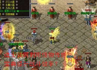 ��ʿ������ù��ﴫ����������ս��Ч�ʣ�