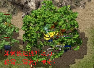 ��ο�������ս�����ư����Ը��Ŵ��棿