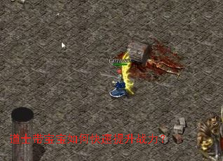 ��ʿ��������ο�������ս����