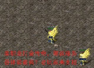 ��ְҵ����棬�Ŀ������������ˬ���������֧��