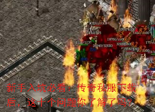 ������ӱؿ�������˽�����غ���ʮ���������˽�����