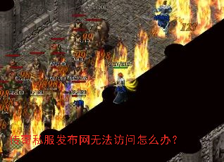 ����˽���������޷�������ô�죿