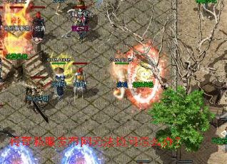 ����˽���������޷�������ô�죿