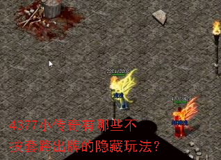 4377С��������Щ������·���Ƶ������淨��