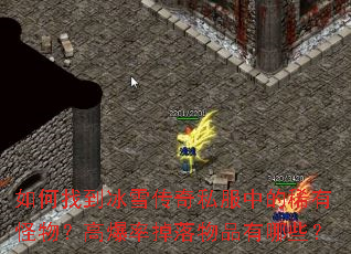 ����ҵ���ѩ����˽���е�ϡ�й���߱��ʵ�����Ʒ����Щ��