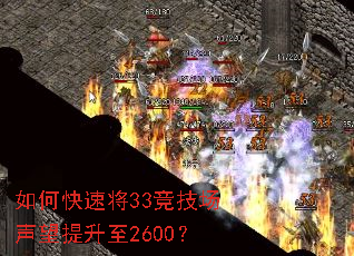 ��ο��ٽ�33����������������2600��