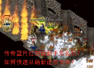 �������º����������ô�棿��ο��ٴ����½��״���