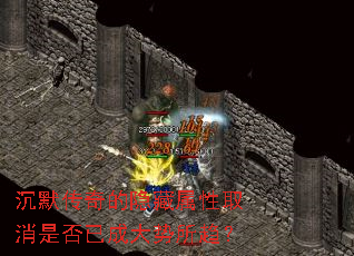 ��Ĭ�������������ȡ���Ƿ��ѳɴ���������