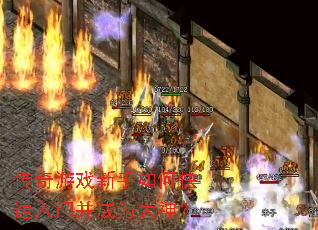 ������Ϸ������ο������Ų���Ϊ����