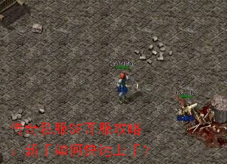 ����˽��SF�������ԣ�������ο������֣�