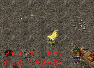 ��Ʒ�ϻ����棺�������ű��ʵ�ʮ���ؼ����⣿