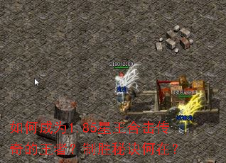 ��γ�Ϊ1.85�����ϻ���������ߣ���ʤ�ؾ����ڣ�