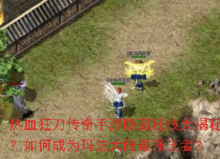 ��Ѫ�񵶴������������ؼ�����أ���γ�Ϊ�귨��½��ǿ���ߣ�