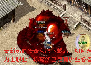 ������Ѫ����˽�����غ����ѡ����ǿ��ʿְҵ���ư�ɳ�Ϳ�����Щ�ر��ؼ���