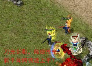 ���⽣Ӱ���Իʹ��棺������ο������֣�