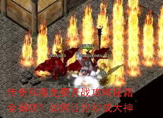 ����˽����ѿ�ս�����ؼ�ȫ���������������ɴ���