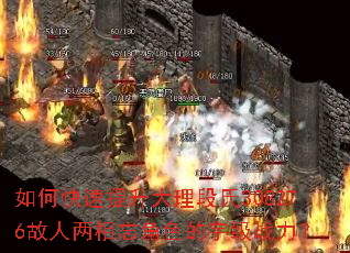 ��ο���������������308276������������ɫ���ս����