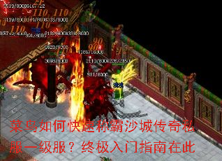 ������ο��ٳư�ɳ�Ǵ���˽��һ�������ռ�����ָ���ڴ�