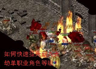 ��ο��������¾���ٵ�ְҵ��ɫ�ȼ���