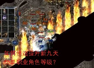 ��ο��������¾���ٵ�ְҵ��ɫ�ȼ���