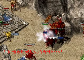 ��λ���ʱ����ʧ��Ұ��boss��