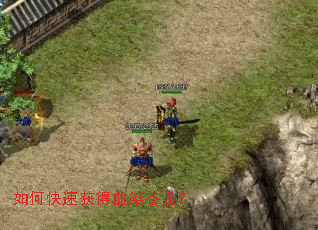 ��ο��ٻ��ѪȾ������