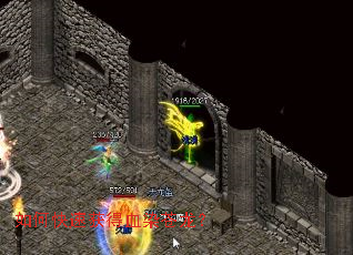 ��ο��ٻ��ѪȾ������