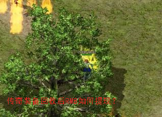 ����װ�����պ�RMB������֣�