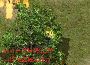 �¿�����������3����ο�������ս����