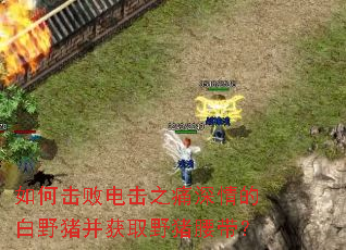 ��λ��ܵ��֮ʹ����İ�Ұ������ȡҰ��������