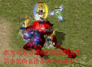 ���������м����ľ�����������С��αװ����ǿ���������