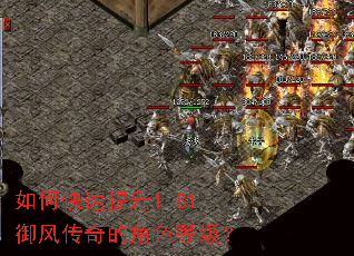 ��ο�������1.81���紫��Ľ�ɫ�ȼ���