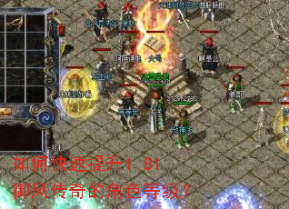 ��ο�������1.81���紫��Ľ�ɫ�ȼ���