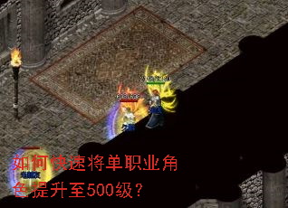 ��ο��ٽ���ְҵ��ɫ������500����