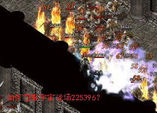 �����������ս��225396��