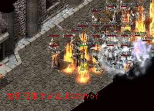 �����������ս��225396��