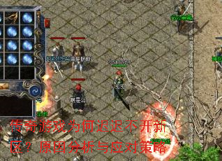 ������ϷΪ�γٳٲ���������ԭ�������Ӧ�Բ���