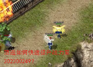 ��ң��ο�������ս����302300249��