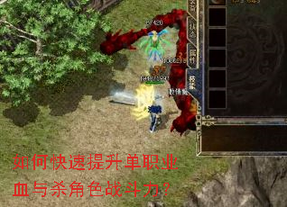 ��ο���������ְҵѪ��ɱ��ɫս������