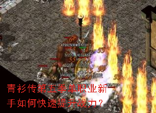 ���������弾��ְҵ������ο�������ս����