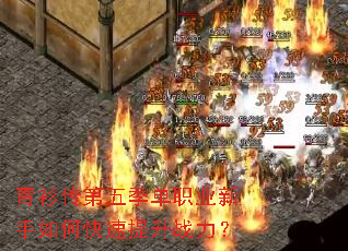 ���������弾��ְҵ������ο�������ս����