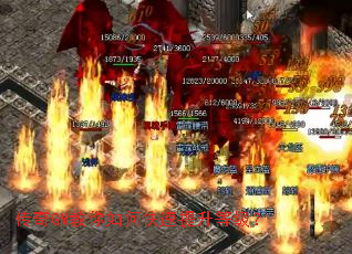 ����GM������ο��������ȼ���