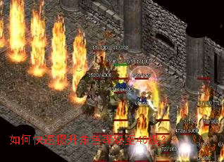 ��ο���������ɫ�ȼ���40����